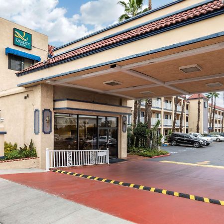 Quality Inn Lomita-Los Angeles South Bay Dış mekan fotoğraf